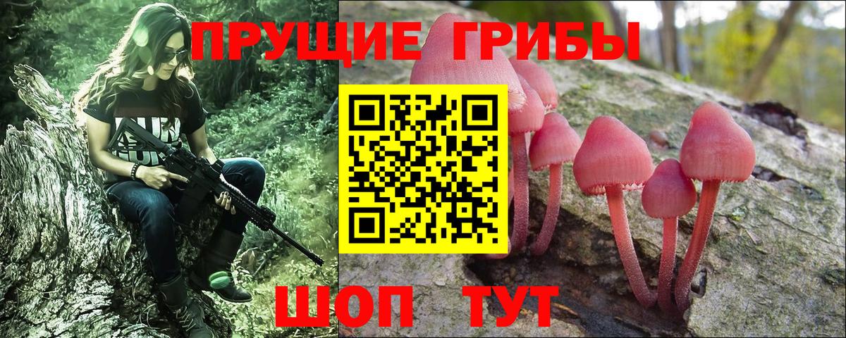 Галлюциногенные грибы Psilocybe  Вход с VPN  Саяногорск 