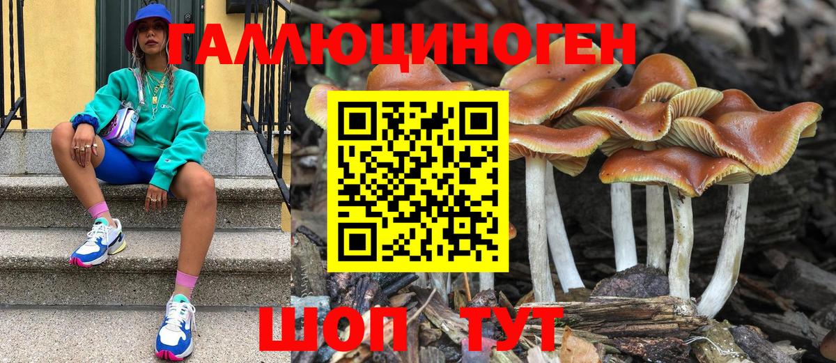 Галлюциногенные грибы мухоморы Саяногорск